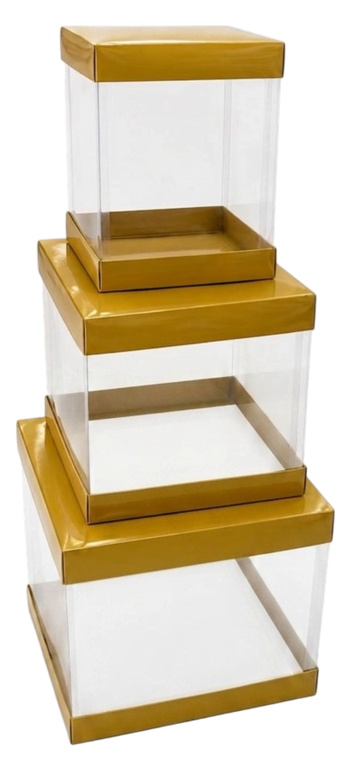3' LÜ ŞEFFAF KUTU GOLD