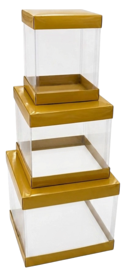3' LÜ ŞEFFAF KUTU GOLD